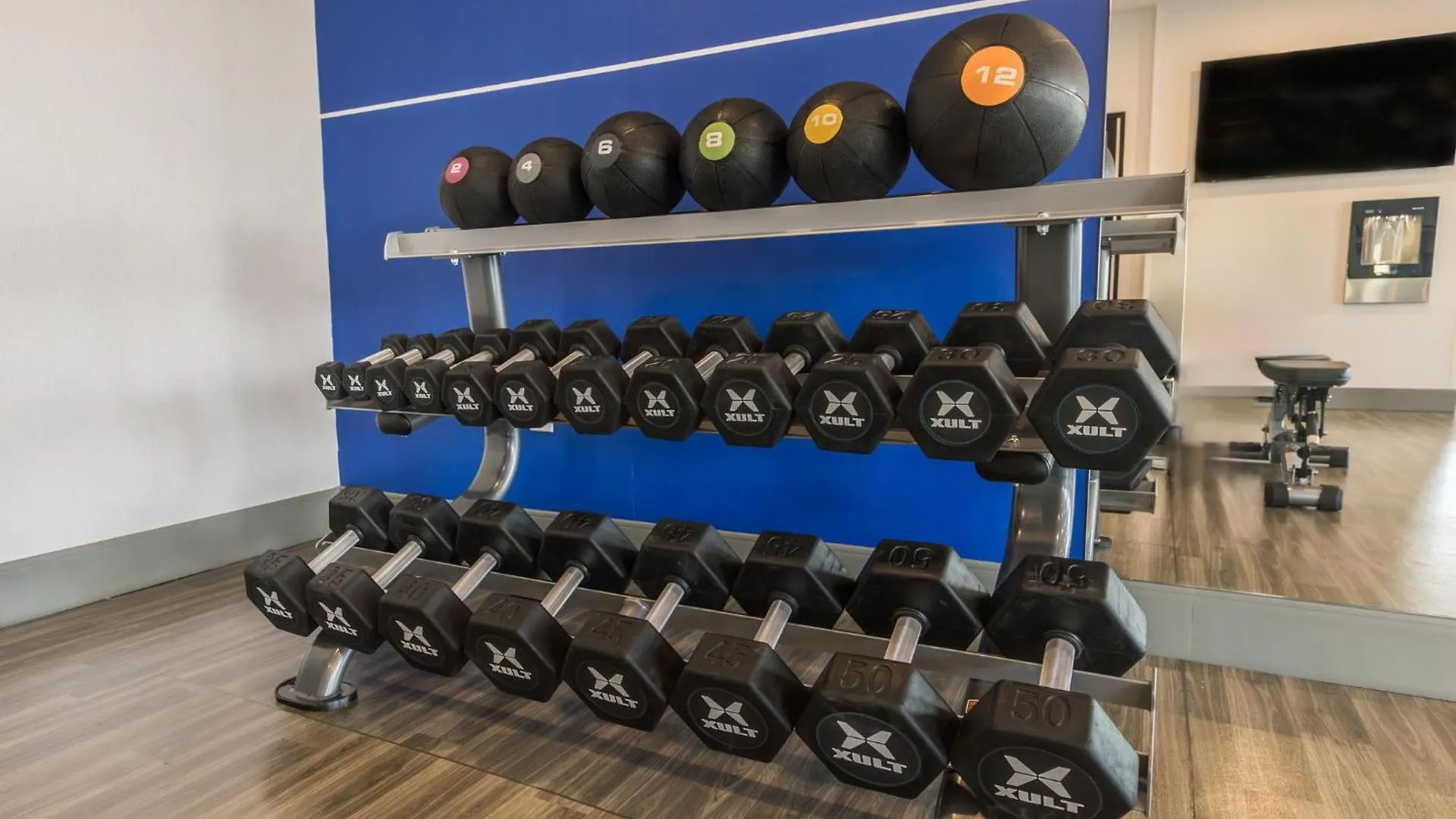 Hotel Holiday Inn Express & Suites - Toronto Airport South By Ihg
